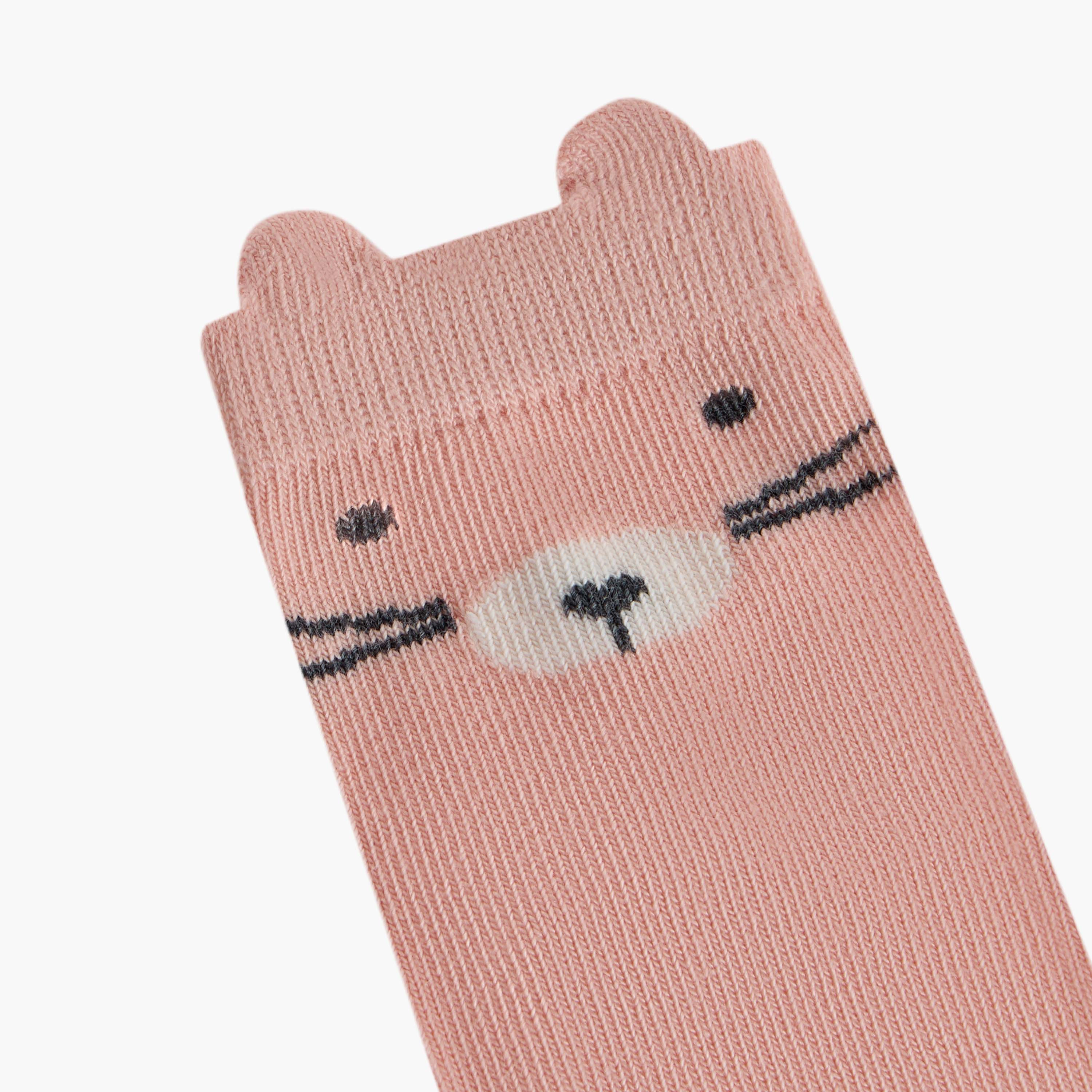 Juniors Printed Ankle Length Socks - Set of 5-baby-boys-accessories-socks-image-5