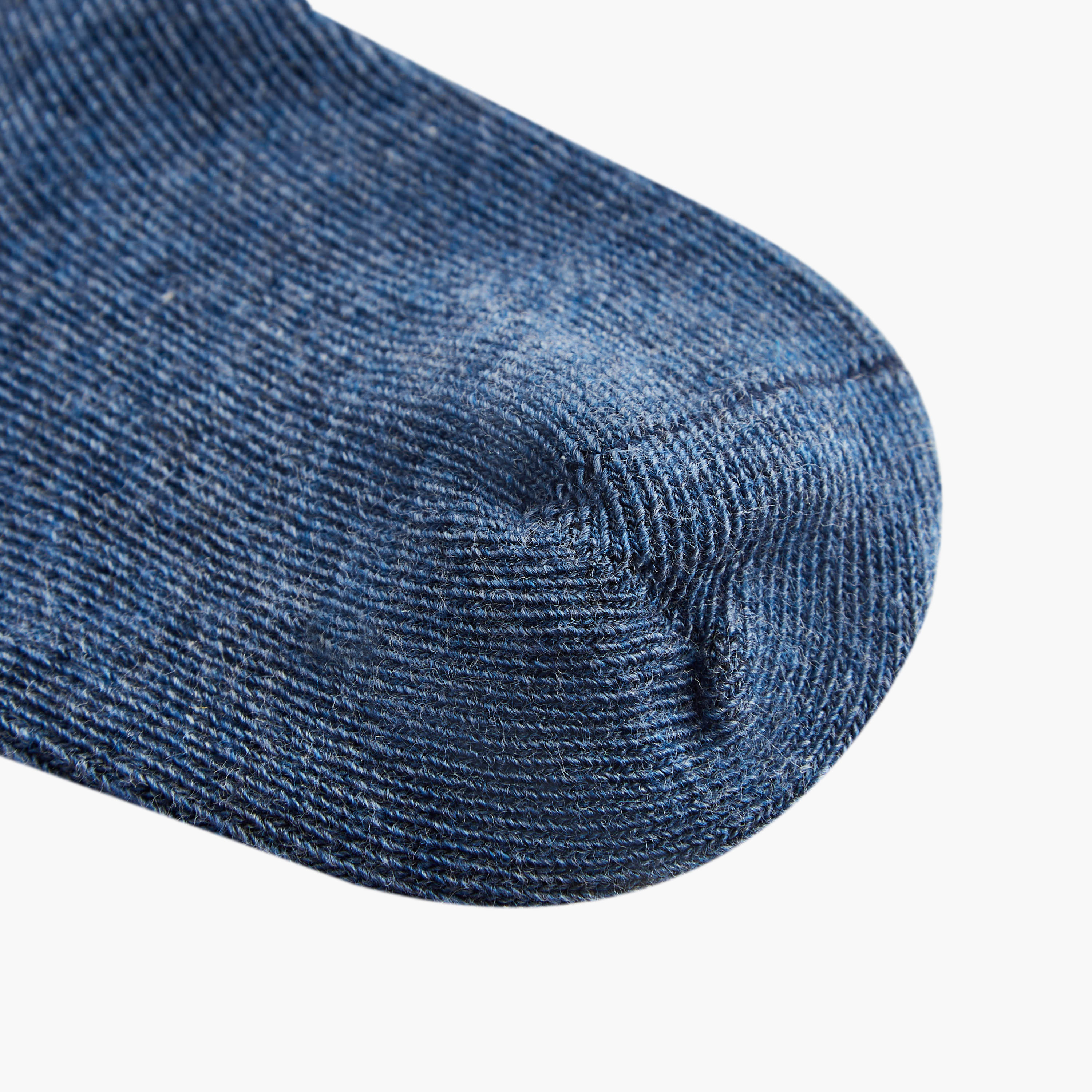 Juniors Solid Ankle Length Socks - Set of 10-baby-boys-accessories-socks-image-3