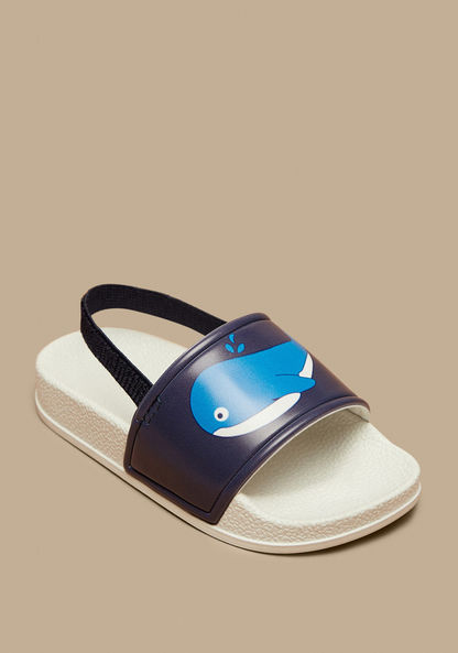 Aqua Whale Print Slip-On Slingback Slides-Boy%27s Flip Flops & Beach Slippers-image-1