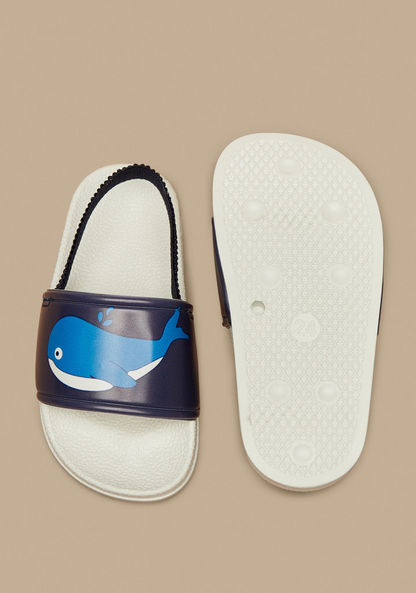 Aqua Whale Print Slip-On Slingback Slides-Boy%27s Flip Flops & Beach Slippers-image-4