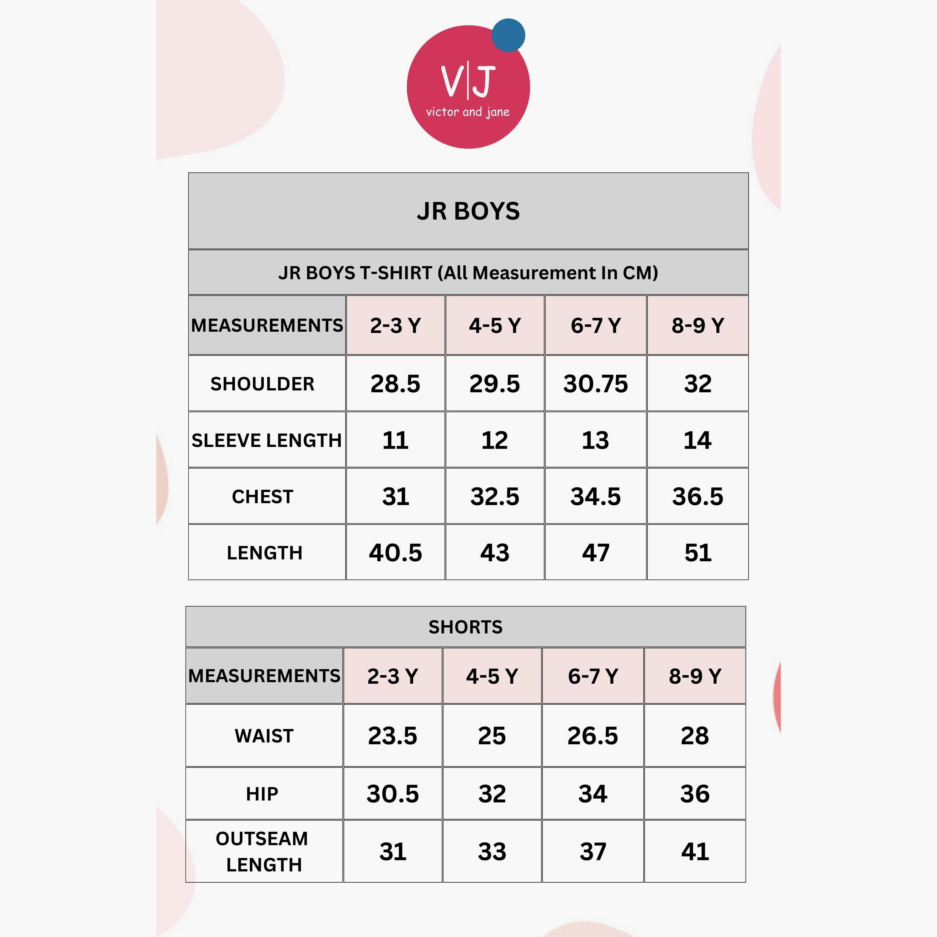 Victor and Jane 2-Piece Striped Short Sleeves T-Shirt with Shorts-boys-clothing-setsandcoords-image-7