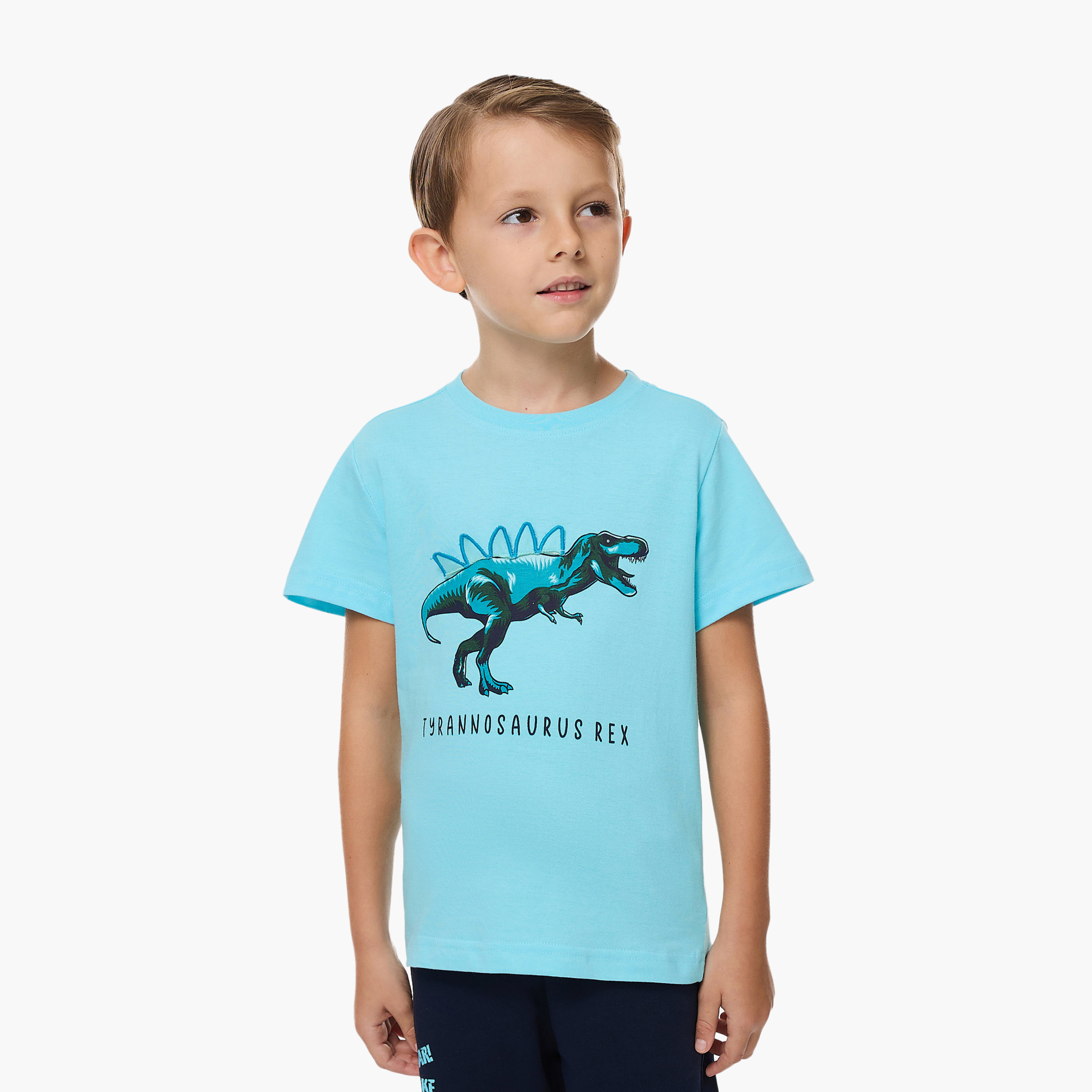 Victor and Jane Dinosaur Printed T-Shirt & Shorts Set - Blue-boys-clothing-setsandcoords-image-3