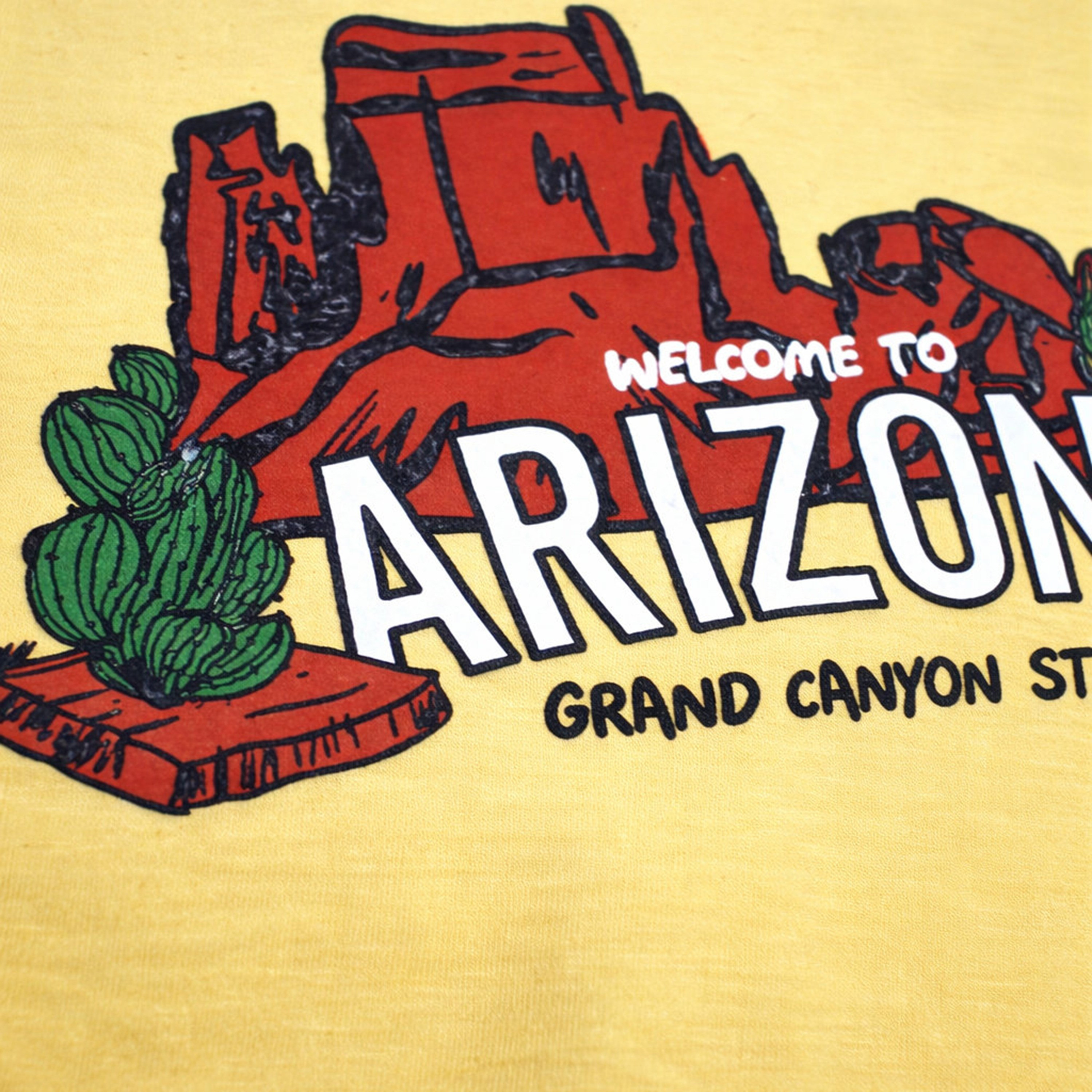 طقم تي شيرت برسومات "Arizona" وشورت باللون البرتقالي الصدئ من فيكتور آند جين-boys-clothing-setsandcoords-image-4
