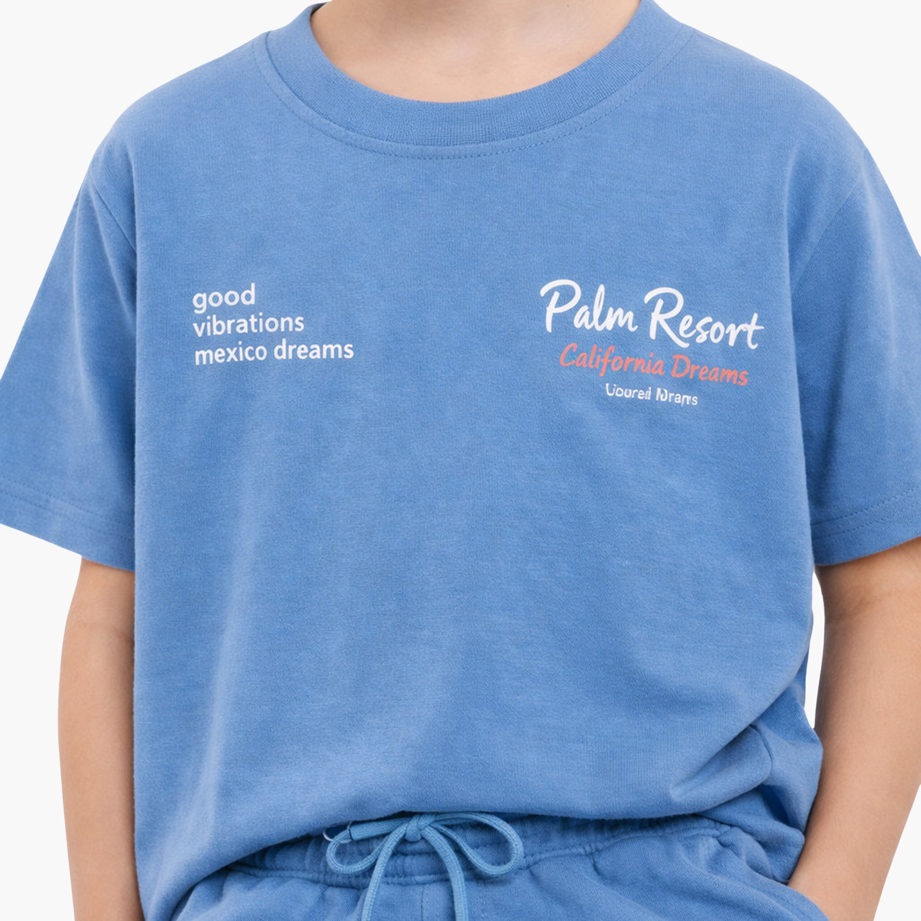 Victor and Jane Half Sleeves Palm Runner Printed T-Shirt & Shorts Set-boys-clothing-setsandcoords-image-4