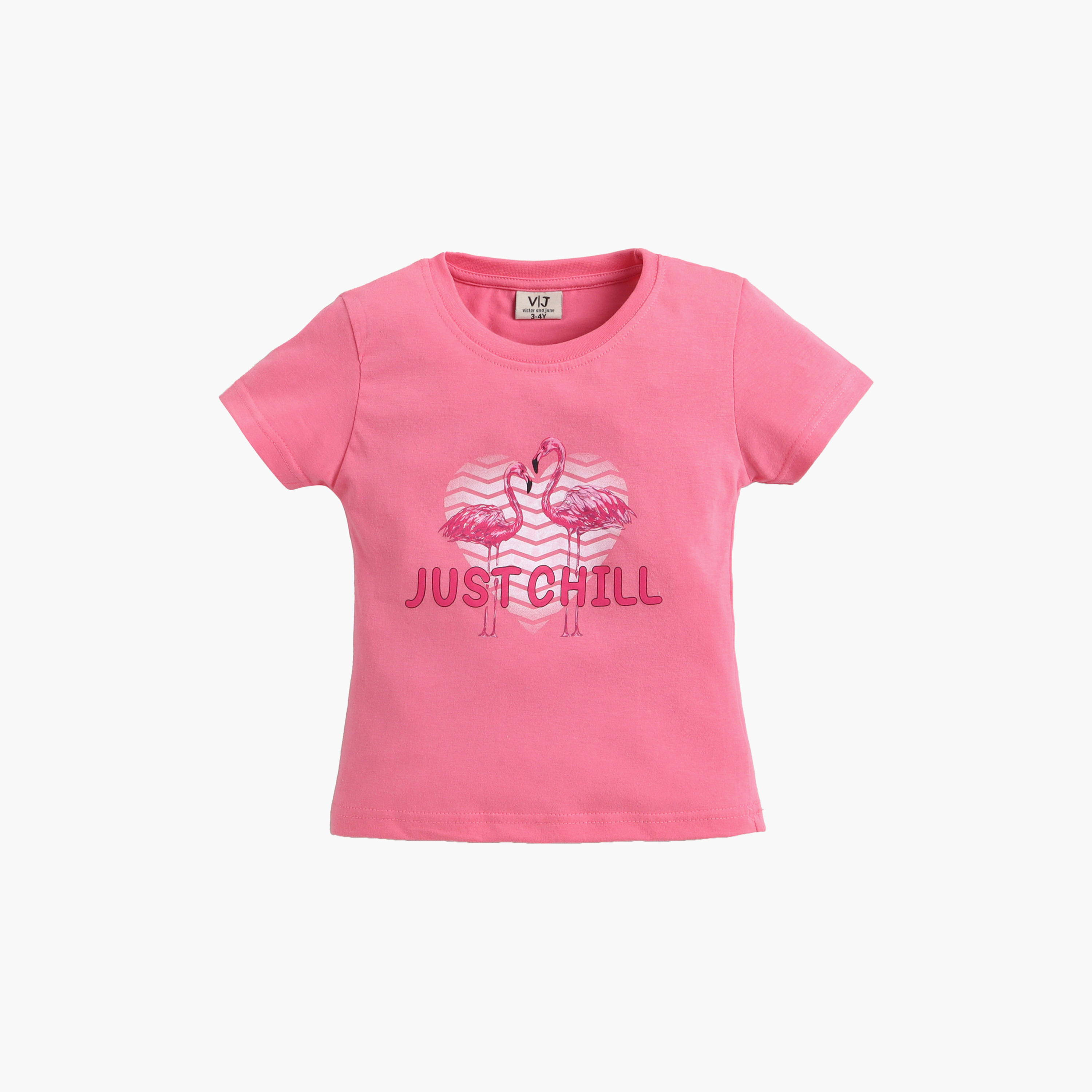 Victor and Jane Cotton Half Sleeves Flamingo Printed T-Shirt & Shorts Set-baby-girls-clothing-setsandcoords-image-4