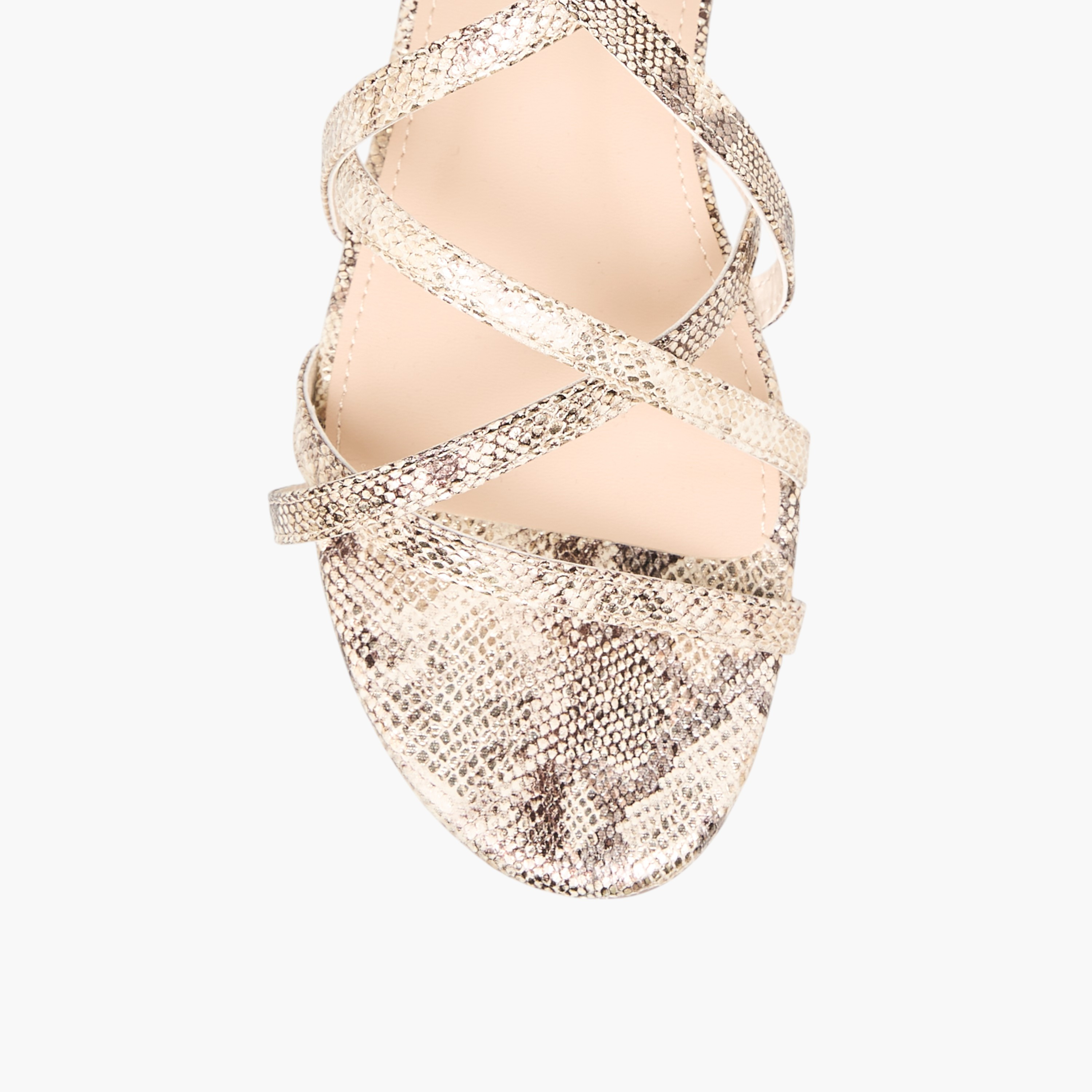 Flora Bella Animal Print Criss Cross Sandals with Buckle Closure-women-shoes-flats-sandals-image-4
