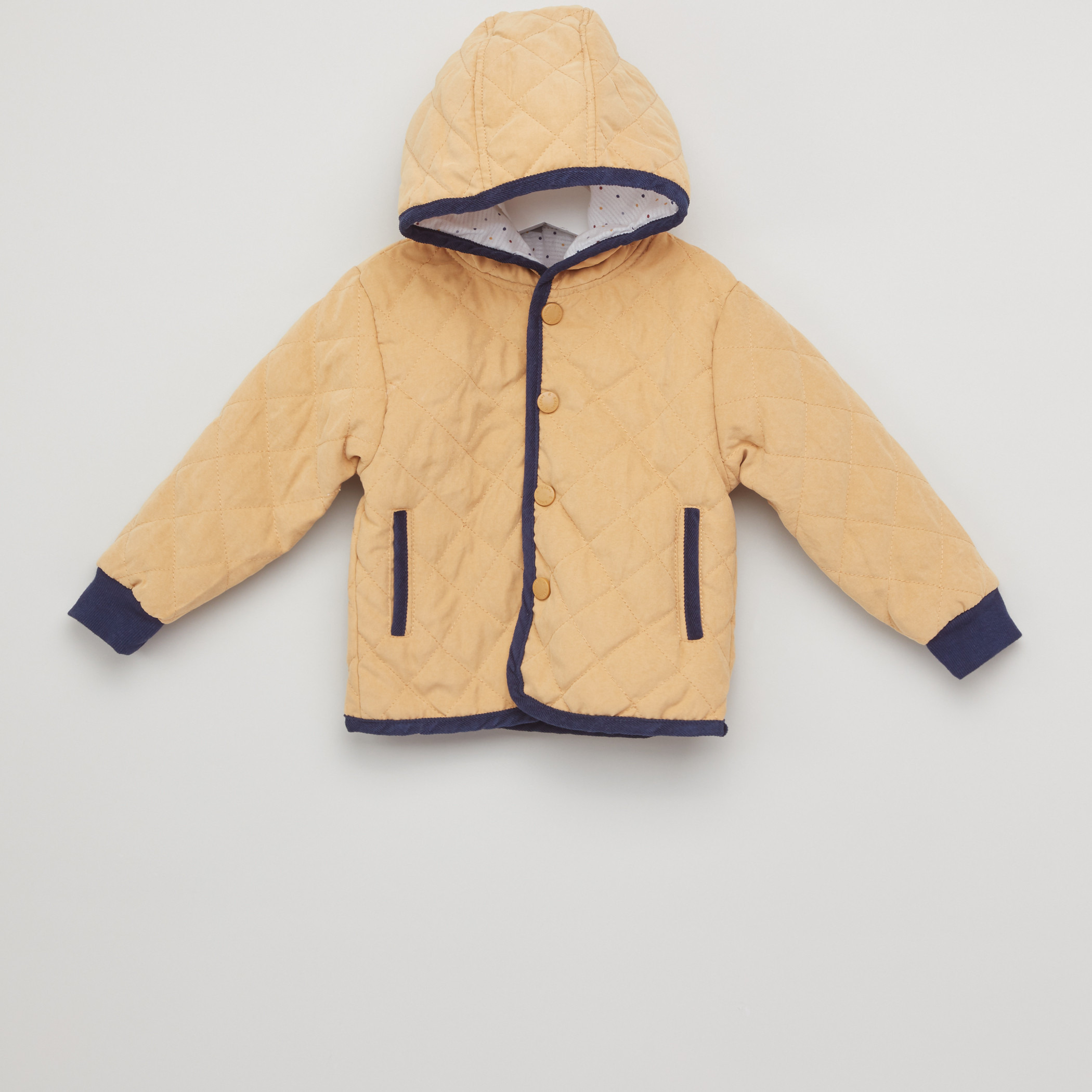 Buy padded jackets top online