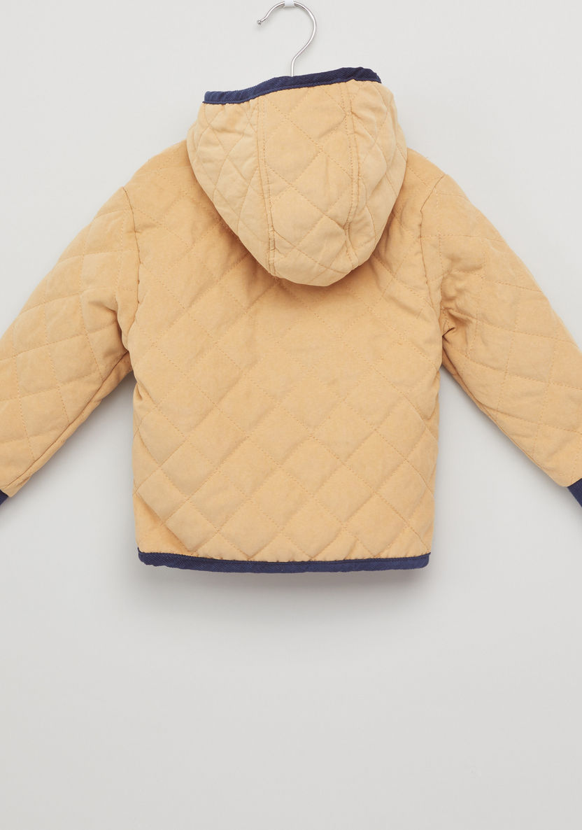 Giggles Padded Jacket-Coats and Jackets-image-3