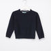 Juniors Textured Crew Neck Raglan Sleeves Sweater-Sweaters and Cardigans-thumbnail-0