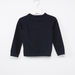 Juniors Textured Crew Neck Raglan Sleeves Sweater-Sweaters and Cardigans-thumbnail-2