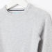 Juniors Textured Crew Neck Raglan Sleeves Sweater-Sweaters and Cardigans-thumbnail-1