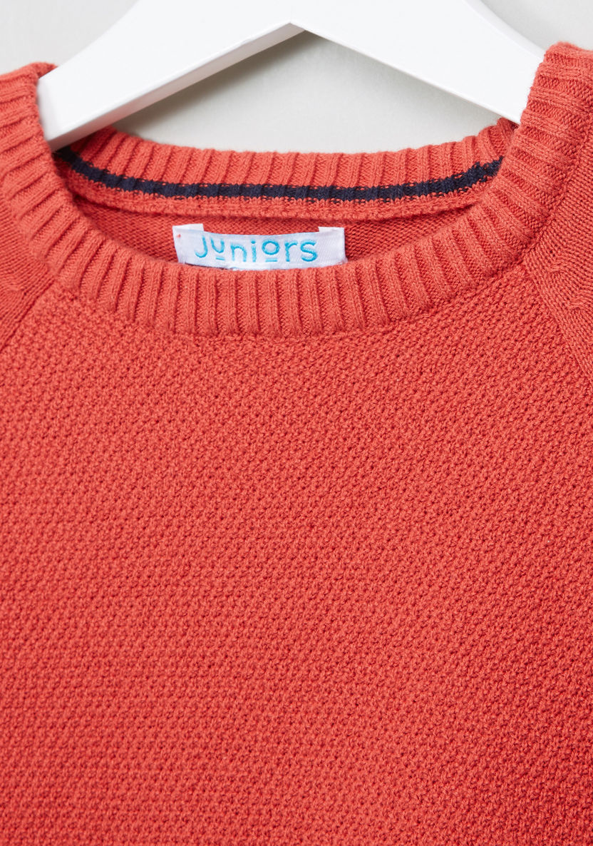 Juniors Textured Crew Neck Raglan Sleeves Sweater-Sweaters and Cardigans-image-1