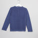 Juniors Textured Henley Neck Long Sleeves Sweater-Shirts-thumbnail-2