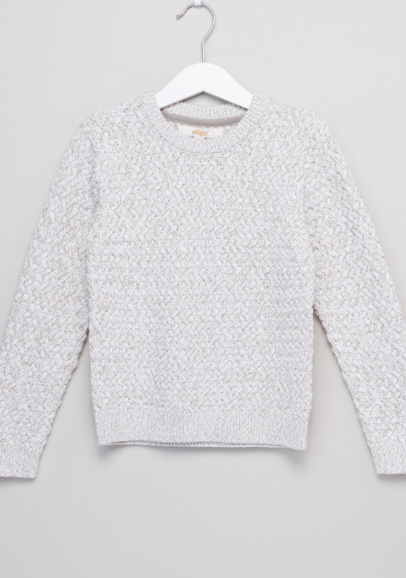 Eligo Knitted Round Neck Sweater-Sweaters and Cardigans-image-0