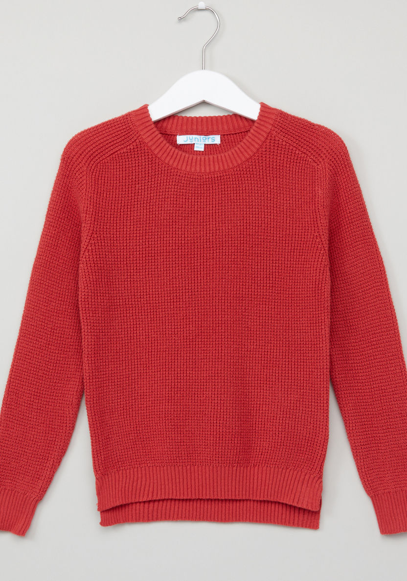Juniors Textured Round Neck Raglan Sleeves Sweater-Sweaters and Cardigans-image-0