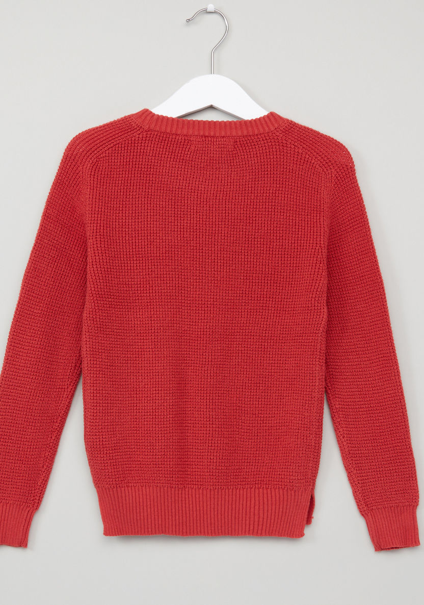 Juniors Textured Round Neck Raglan Sleeves Sweater-Sweaters and Cardigans-image-2