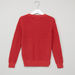 Juniors Textured Round Neck Raglan Sleeves Sweater-Sweaters and Cardigans-thumbnail-2