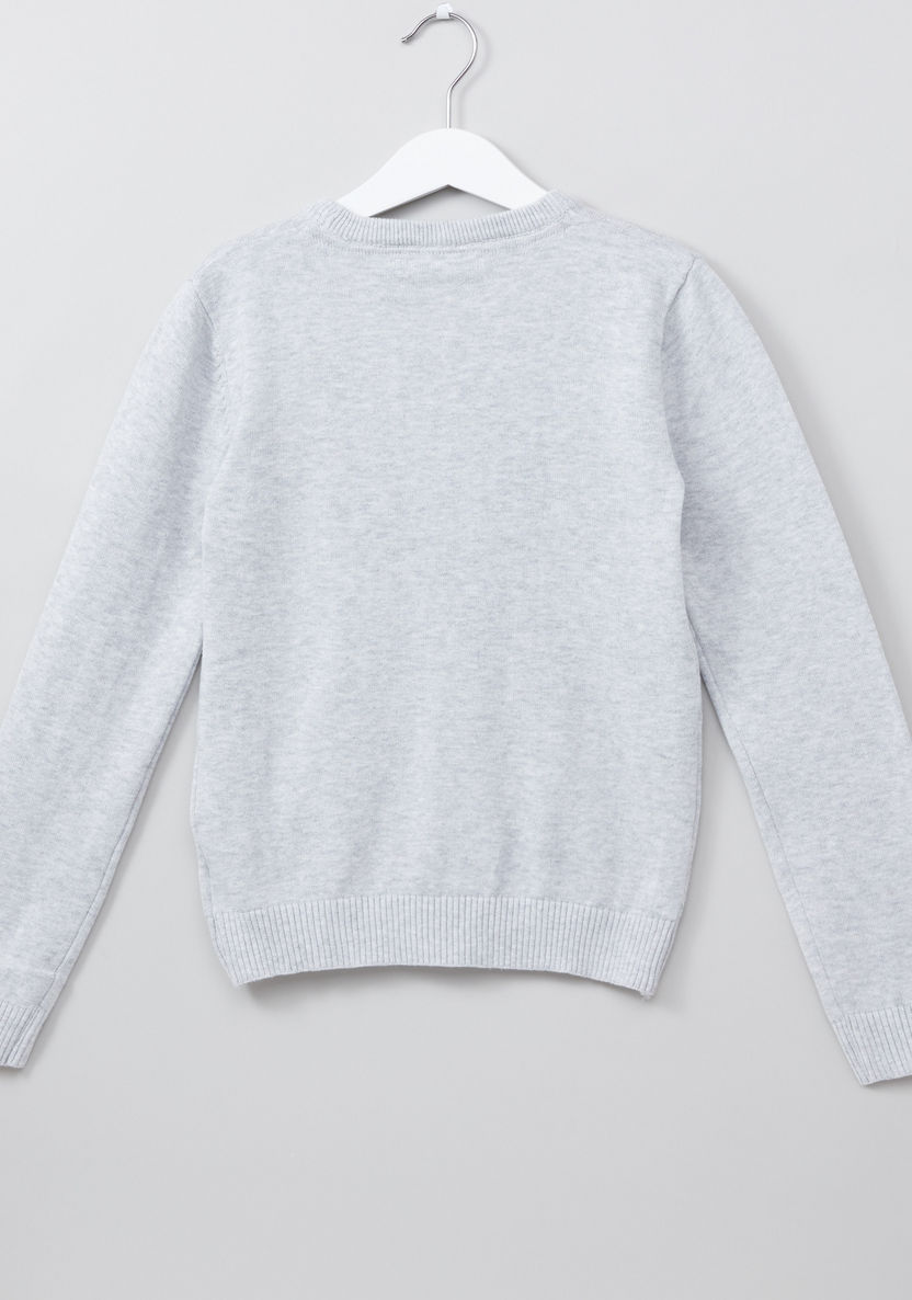 Juniors Plush Detail Long Sleeves Sweatshirt-Sweaters and Cardigans-image-2