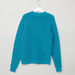 Juniors Textured Round Neck Sweater-Sweaters and Cardigans-thumbnail-2