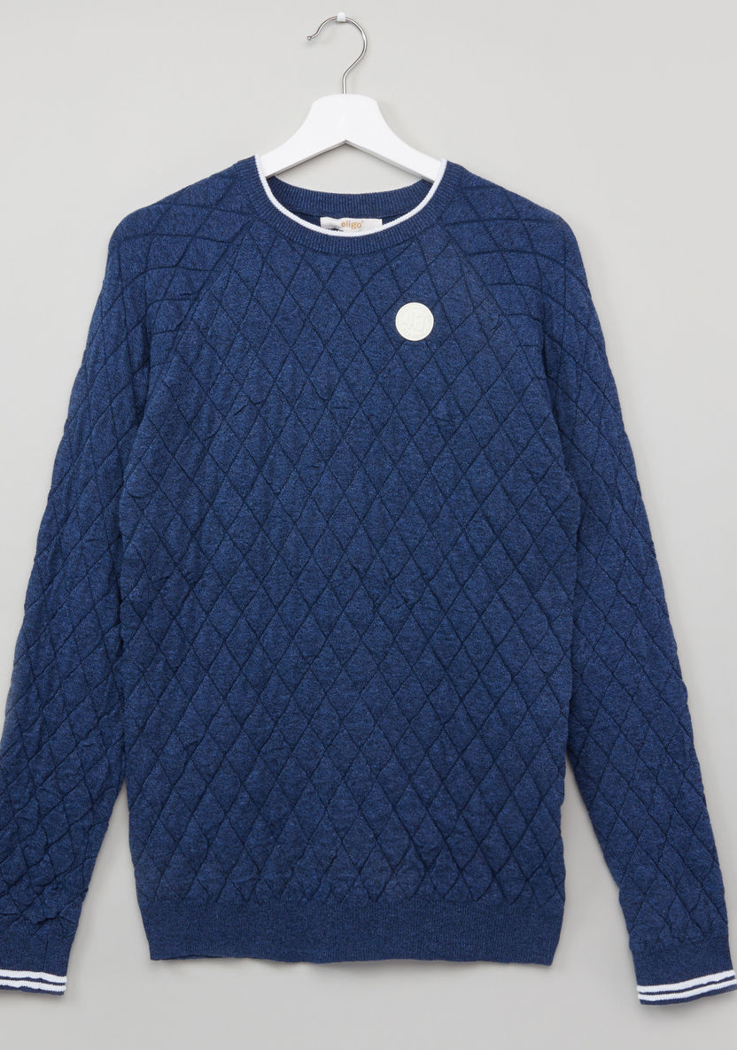 Eligo Quilted Round Neck Raglan Sleeves Sweater-Sweaters and Cardigans-image-0