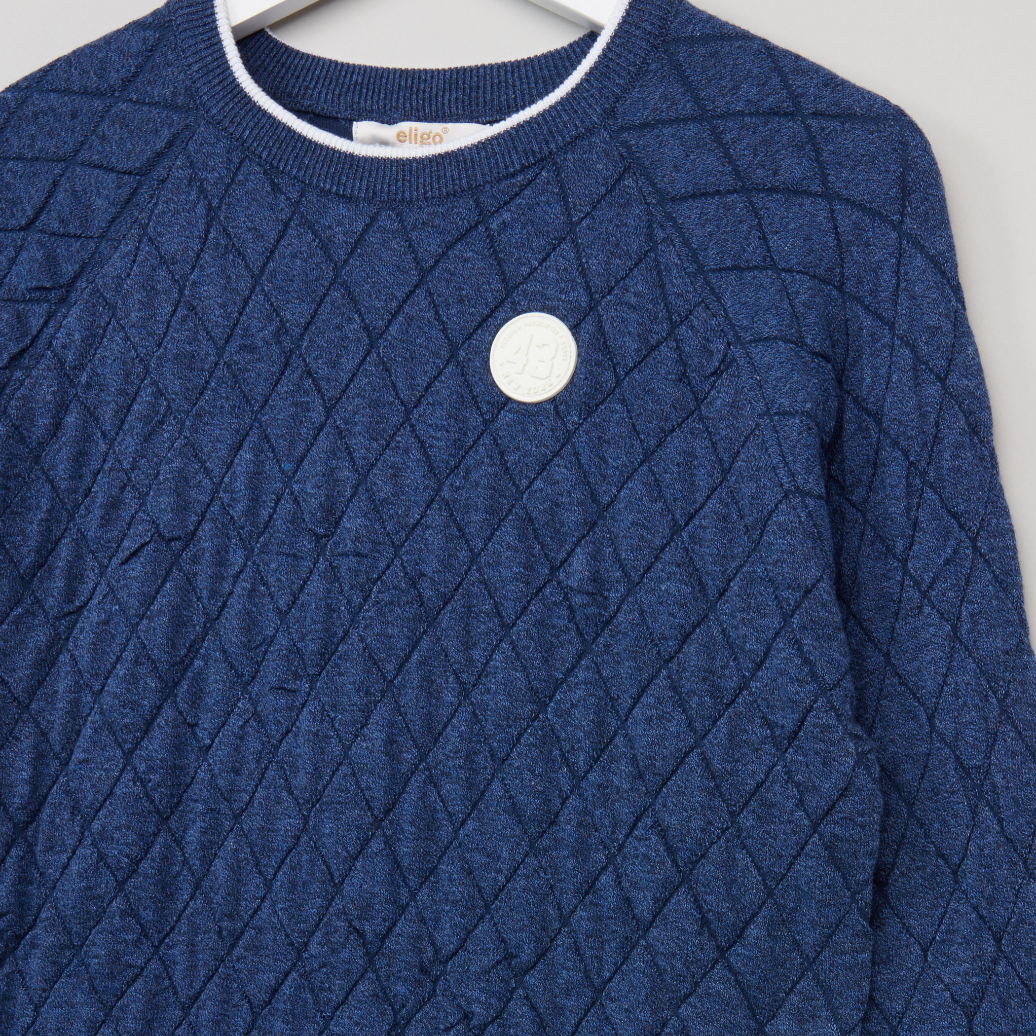 Eligo Quilted Round Neck Raglan Sleeves Sweater-boys-clothing-jumpersandcardigans-image-2