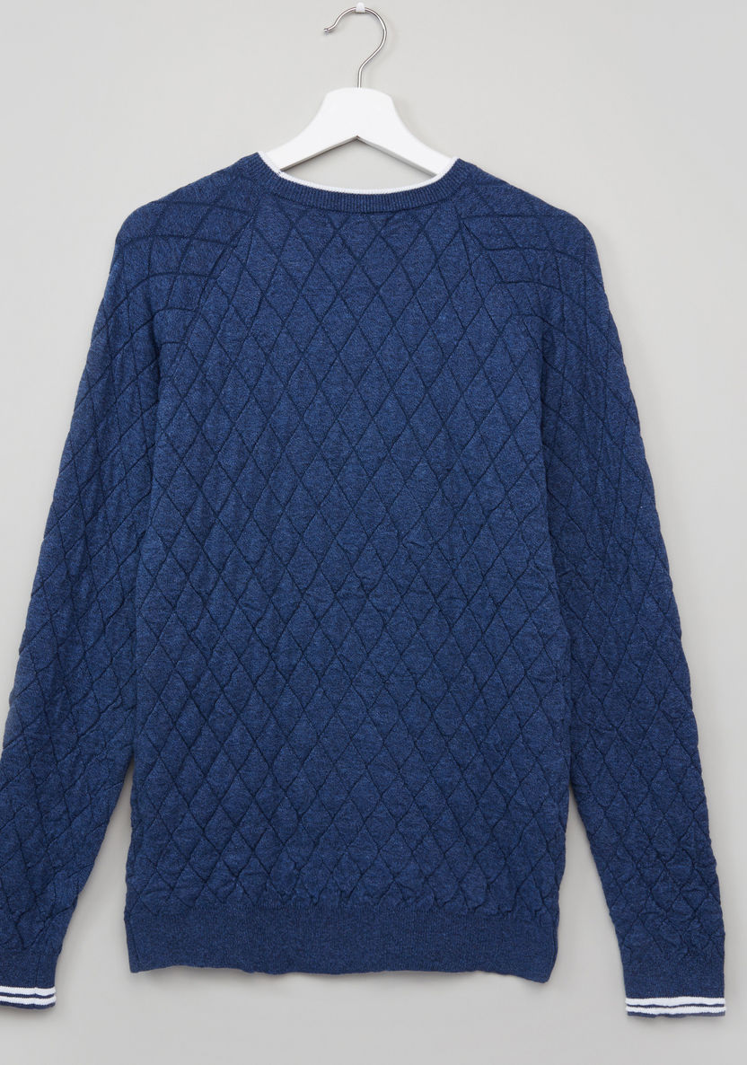 Eligo Quilted Round Neck Raglan Sleeves Sweater-Sweaters and Cardigans-image-2