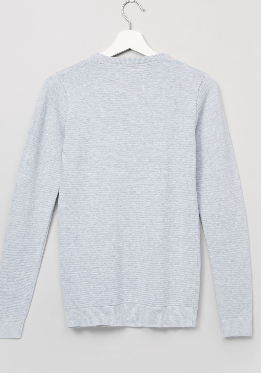 Posh Textured Round Neck Long Sleeves Sweatshirt-Sweaters and Cardigans-image-2