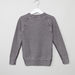Lee Cooper Printed Raglan Sleeves Sweatshirt-Sweaters and Cardigans-thumbnail-2