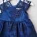 Juniors Lace Embroidered Dress with Cap Sleeves-Dresses%2C Gowns and Frocks-thumbnail-1