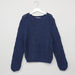 Lee Cooper Textured Long Sleeves Sweater-Sweaters and Cardigans-thumbnail-0