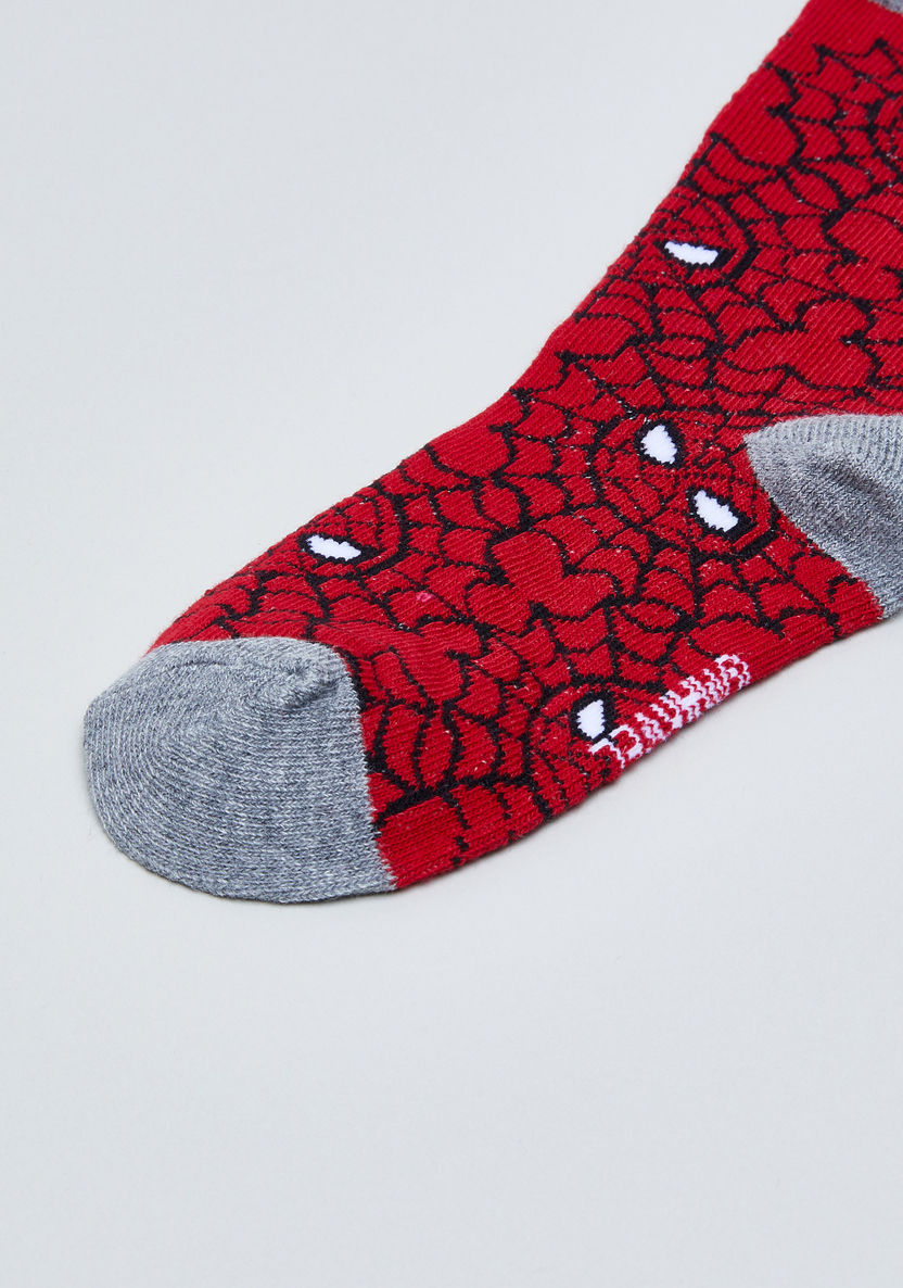 Spider-Man Printed Socks - Set of 3-Socks-image-2