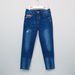 Lee Cooper Distressed Jeans with Pocket Detail-Jeans-thumbnail-0