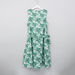 Posh Tropical Printed Sleeveless Dress with Tie Up Belt-Dresses%2C Gowns and Frocks-thumbnail-2