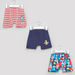 Thomas and Friends Printed Boxers - Set of 3-Boxers and Briefs-thumbnail-0