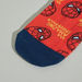 Spider-Man Printed Socks - Set of 3-Socks-thumbnail-2