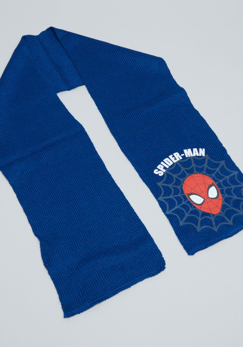 Spider-Man Printed 3-Piece Accessory Set-Caps-image-1