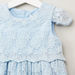 Juniors Lace Dress with Round Neck and Cap Sleeves-Dresses%2C Gowns and Frocks-thumbnail-1