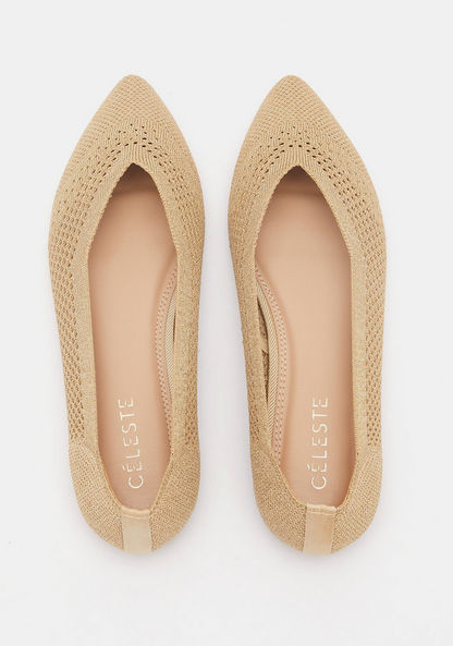 Celeste Textured Slip-On Pointed Toe Ballerina Shoes