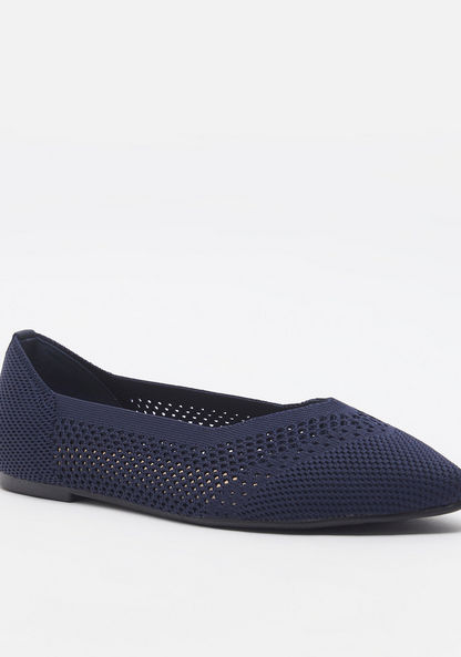 Celeste Textured Slip-On Pointed Toe Ballerina Shoes-Women%27s Ballerinas-image-1