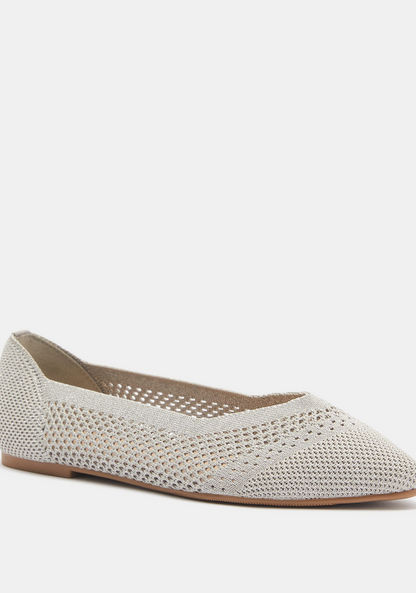 Celeste Textured Slip-On Pointed Toe Ballerina Shoes-Women%27s Ballerinas-image-1