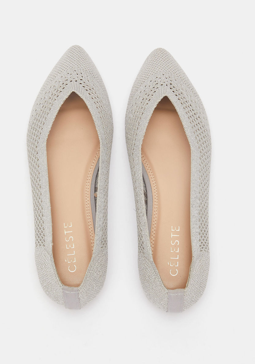 Celeste Textured Slip-On Pointed Toe Ballerina Shoes-Women%27s Ballerinas-image-4