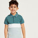 Juniors Solid Polo Short Sleeves T-shirt with Shorts-Clothes Sets-thumbnail-2