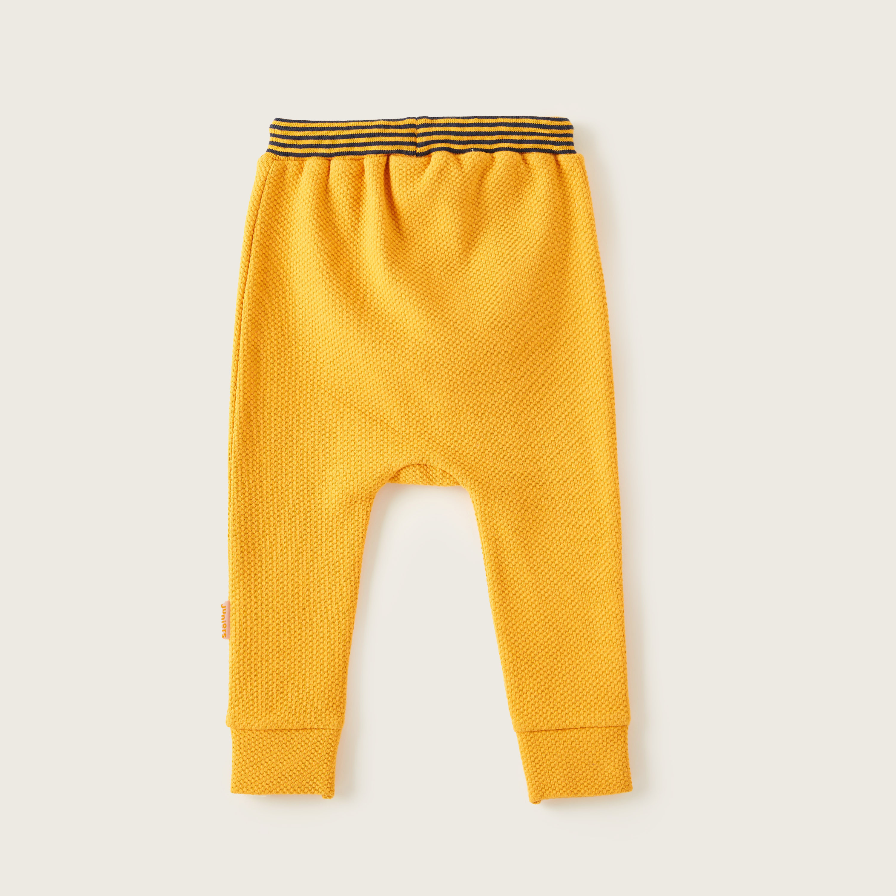 Juniors Textured Joggers with Striped Waist and Drawstring Closure-baby-boys-clothing-bottoms-joggersandtrackpants-image-3