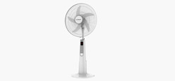 Fans